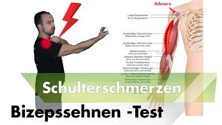 Bizepssehne entzündet  Schulterimpingement testen [upl. by Endaira]