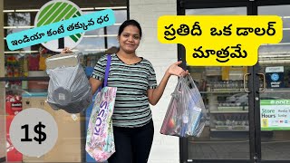 ప్రతిదీ 1 మాత్రమేఅమెరికా లో అతి తక్కువ ధరలో vlog [upl. by Chloe124]