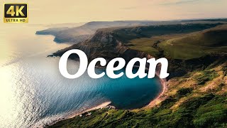 Oceans Majesty 4K 60FPS Marine Wonders 4kvideo [upl. by Herrmann]