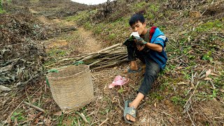 Orphan Boy Builds a Bamboo Shed at Home to Store Collected Firewood [upl. by Aihsinat935]