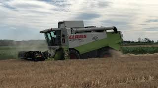 Cressoni CRX 66m Sojaflex in Wintergerste 1  Claas Lexion 460 [upl. by Damalas]