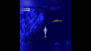 Ecco the Dolphin [upl. by Elvin]