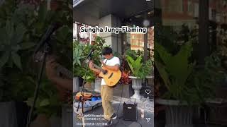 街頭表演Sungha JungFlaming [upl. by Koziara833]