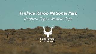 Tankwa Karoo National Park one of South Africas most underrated destinations [upl. by Alfred]