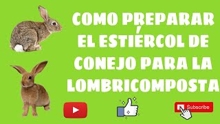 como preparar el estiércol de conejo para la lombricomposta 🐛🐰 [upl. by Ayanad]