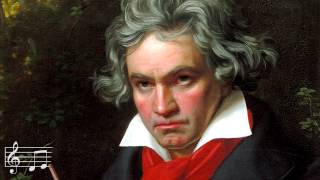 Beethoven  Symphony No 5 [upl. by Thill599]