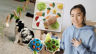 EASIEST ENRICHMENT IDEAS for destructive rabbits [upl. by Jeritah146]