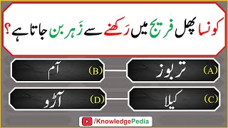 islami Urdu Paheliyan  Islamic Riddles  اسللامی سوال جواب اور معلومات  islamic Questions 621 [upl. by Nnayelhsa82]