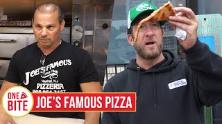 Barstool Pizza Review  Joe’s Famous Pizza Vauxhall NJ [upl. by Hennessey450]