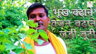 Ayurveda Jadi Buti  Deshi Nuksha How to gain weight [upl. by Isiahi149]