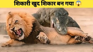 शिकारी खुद शिकार बन गया। Animal facts in hindi animalfactz1 animalfacts factsinhindi [upl. by O'Rourke145]