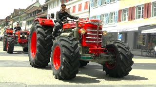 Old Hürlimann Tractors Extraordinary Swiss History on the Road in Willisau [upl. by Nosliw675]