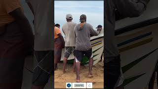 Behind the Scenes of Boat Life Fishing amp Filleting 🐟✨full video☝️ fish fishmarket seafood [upl. by Hayimas975]