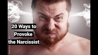 20 Ways to Provoke the Narcissist to Meltdown Tantrum Apoplexy [upl. by Ditzel4]