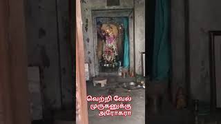 வெற்றி வேல் முருகனுக்கு அரோரா murugan murugansongs shorts song [upl. by Anne]