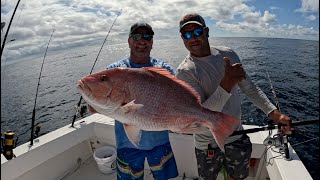 Florida American Red Snapper Fishing Regulations Announced for 2024  How to Catch an EASY Limit [upl. by Dupuy]