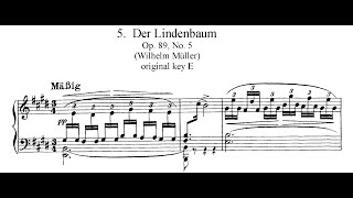 Der Lindenbaum E Major Franz Schubert Piano Accompaniment [upl. by Iorgos]