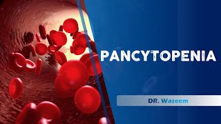 pancytopenia  Dr Waseem  Lecture 6 [upl. by Pavior937]