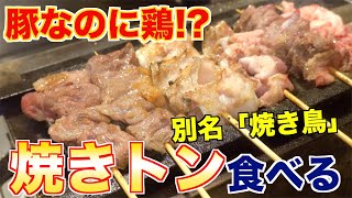 プロが教える焼きトンの魅力と作り方 ｜イノブタ紹介 [upl. by Ccasi]