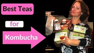 Kombucha Tea Recipe What are the best teas to use [upl. by Leveroni]