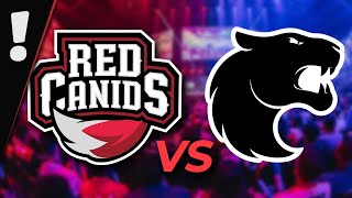 DESCOBRI PORQUÊ O NÍVEL DO CBLOL É BAIXO  RED VS FURIA [upl. by Ailes800]