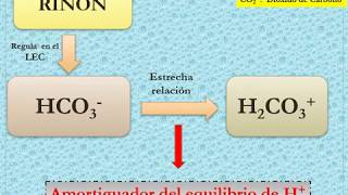 Hidroelectrolitico Parte 4 trastornos del estado ascidobase [upl. by Kcirded]