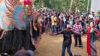 jogedanpaju barong kumbo  lintang joyo kusumo  live nanasan kmpunganyar [upl. by Bernadine]