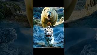 Polar Bear vs White Animals vs Leopard Deer Elk Lion Elephant [upl. by Florie985]