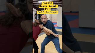 Karate Knife hand in Self Defense [upl. by Erlin662]