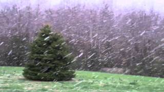 Giant snowflakes fall in the front yard on 27Mar11 [upl. by Favrot]