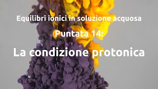 Equilibri ionici 14 La condizione protonica [upl. by Notfilc]