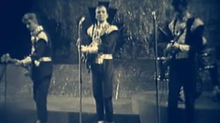 The Spotnicks  Amapola live Dutch TV 1964 [upl. by Ahsienet]