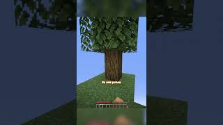 Dikira skyblock padahal minecraft minecraftindonesia [upl. by Taddeusz]