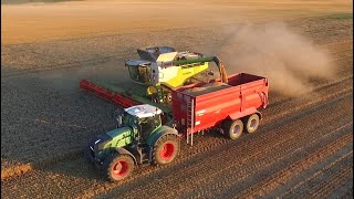 CLAAS Lexion 770 Terra Trac amp Fendt 930 Vario  Weizenernte auf Rügen [upl. by Dayiz]