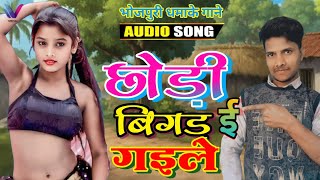 छोड़ी बिगड़ गइले  Choudi Bigard Gaile Bhojpuri Naya Gana 2025  dj remix songs bhojpuri 2025 ka [upl. by Noreh811]