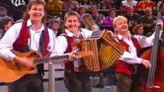 Low quality Trio Melody  Mein Heimatland Tirol Heimatmelodie 1992 [upl. by Middendorf965]