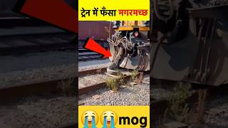 train railway railway indianrailwaytrainsimulatornewroute you tube shorttrain video 2024 [upl. by Marleen161]