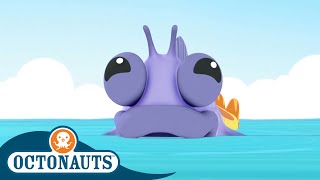 Octonauts  🪸 The Combtooth Blenny 🐠  Season 1  Full Episodes  Cartoons for Kids [upl. by Fabron]