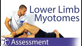 Myotomes Lower Limb  Peripheral Neurological Examination [upl. by Wisnicki]