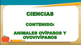 Animales ovíparos y ovovivíparos  Ciencias  Segundo grado [upl. by Nnaeoj124]