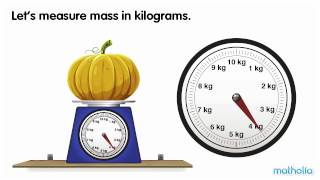 Using a Scale  Kilograms [upl. by Enoch723]