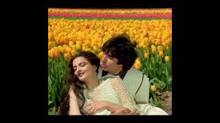 Dekha ek khwab instrumental Amitabh Rekha trending viral viral viralvideo bollywood song [upl. by Nosnarb]