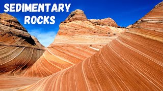 Three types of Sedimentary Rocks [upl. by Shelli873]