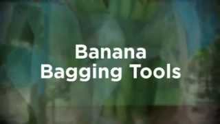 Banana Bagging Tools [upl. by Lombardi236]