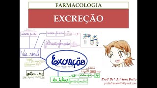 Excreção Farmacocinética [upl. by Aileon]