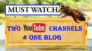 Want to be a better beekeeper Then read this blog and watch these 2 Youtube channels [upl. by Cram]