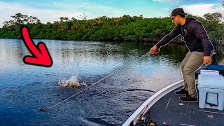 Crushing BIG Fish In a Saltwater River [upl. by Jaclin154]