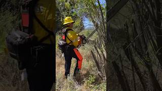 Wildland Chainsaw Training [upl. by Evalyn37]