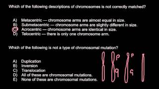 Chromosomes Metacentric Submetacentric Acrocentric Telocentric [upl. by Bodrogi]