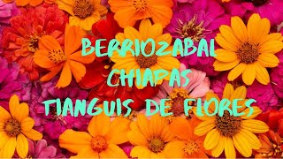 BERRIOZABAL CHIAPAS LAS FLORES MAS BELLAS EN UN TIANGUIS [upl. by Intisar]